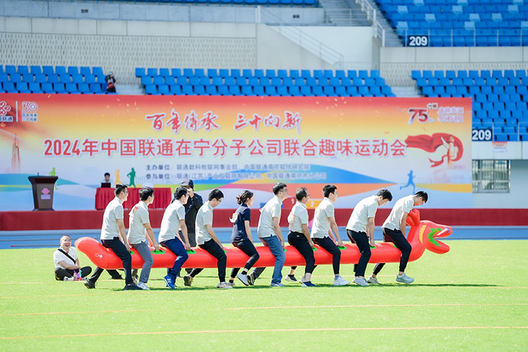 趣味運動會,體育運動會