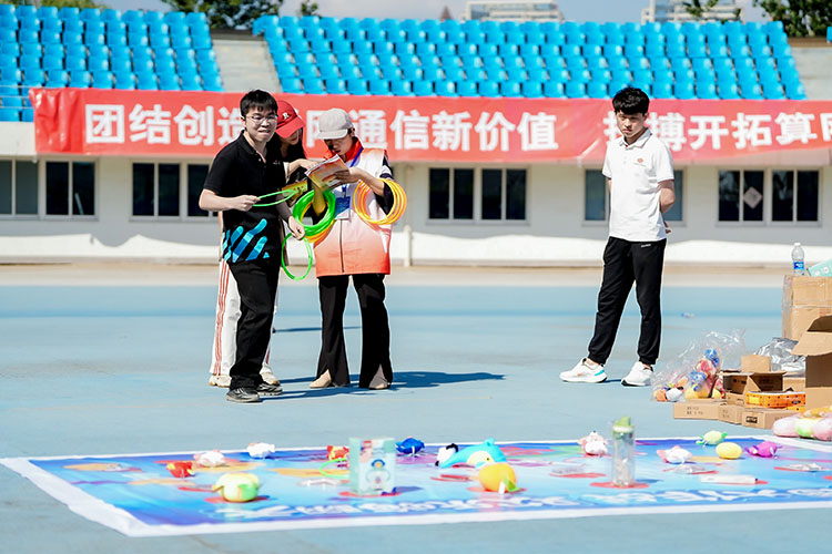 趣味運動會,體育運動會